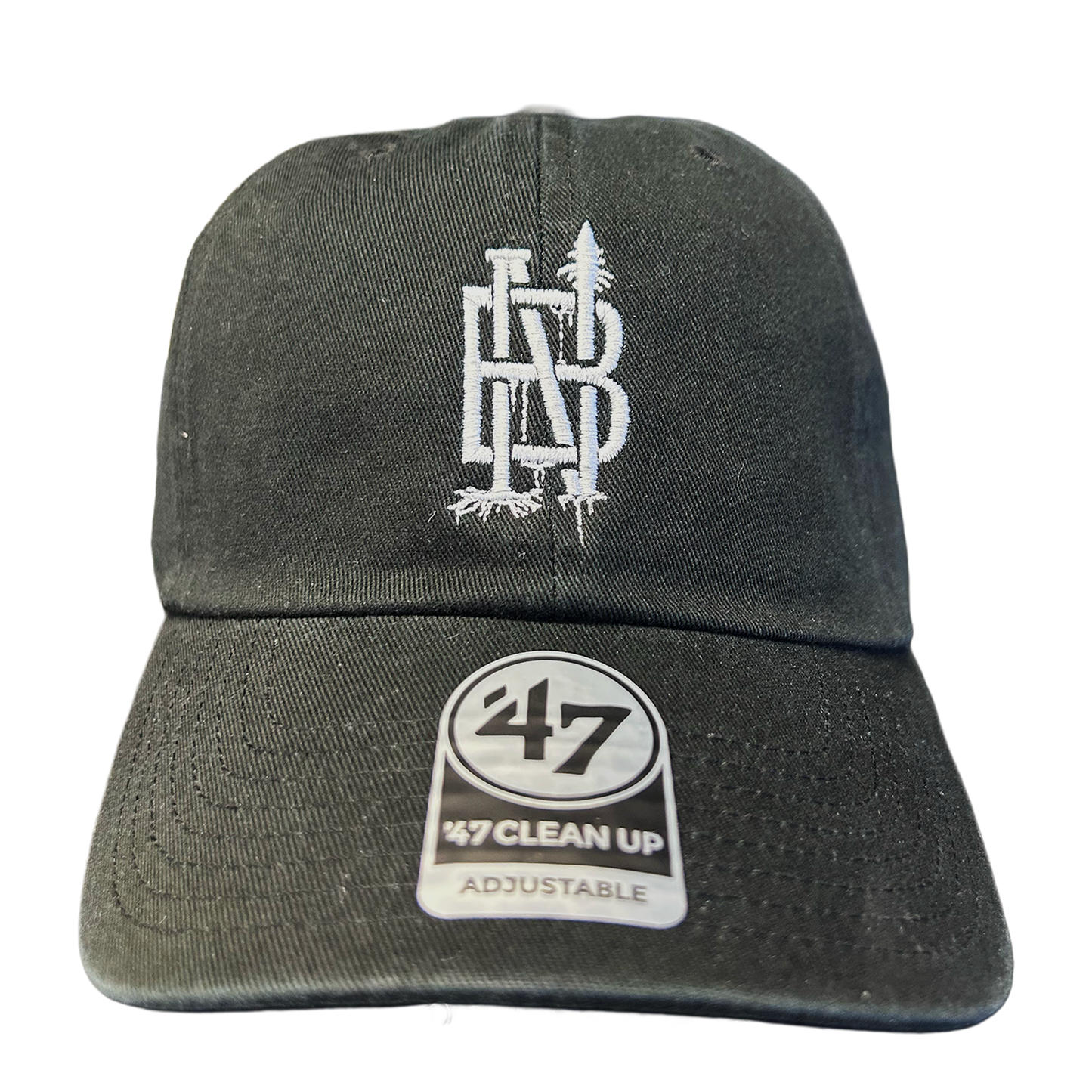 Black Dad Hat